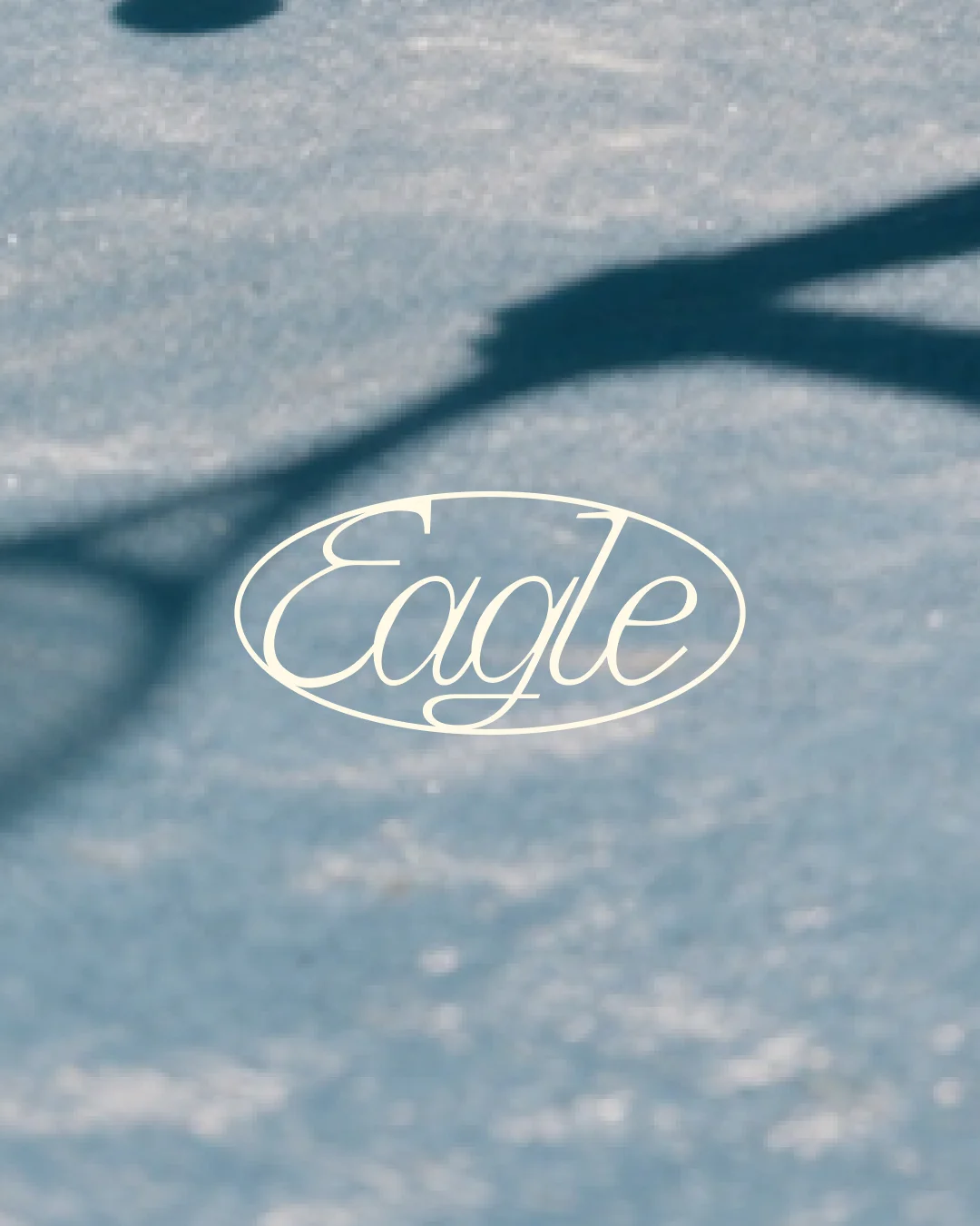 Eagle script wordmark over a blue tennis court and its shadows.