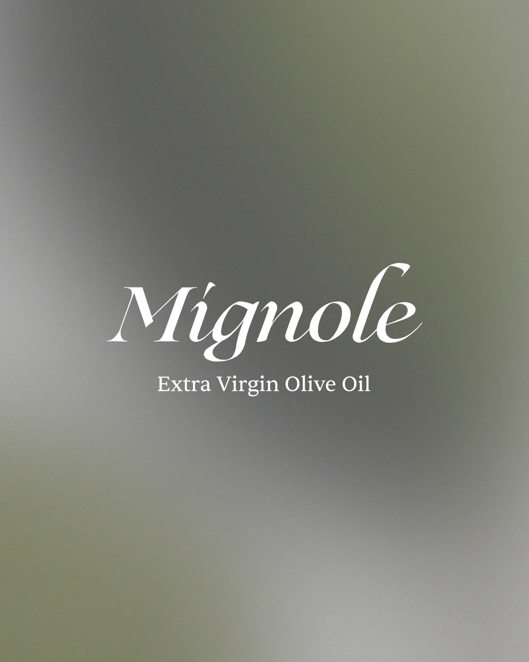 Mignole Extra Virgin Olive Oil wordmark over a softly blurred green background.