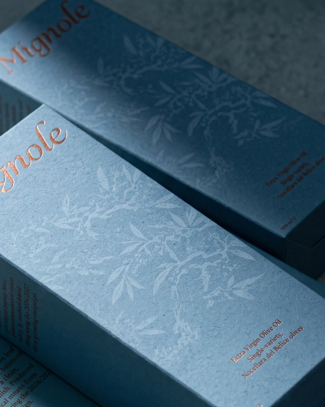 Mignole bull illustration and wordmark with logo construction guides.