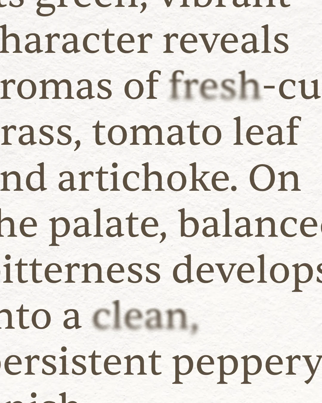 Close-up of serif typography describing the olive oil’s taste and aromas.