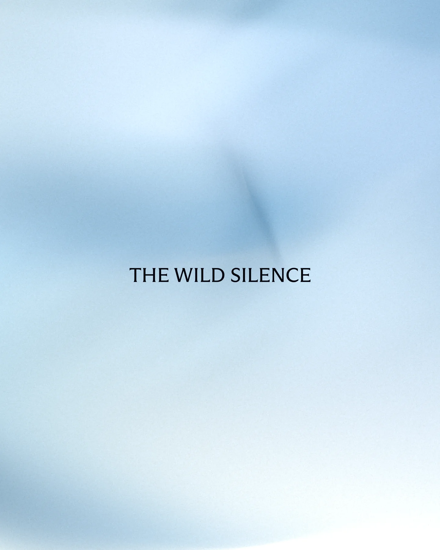The Wild Silence title over a soft abstract blue landscape.