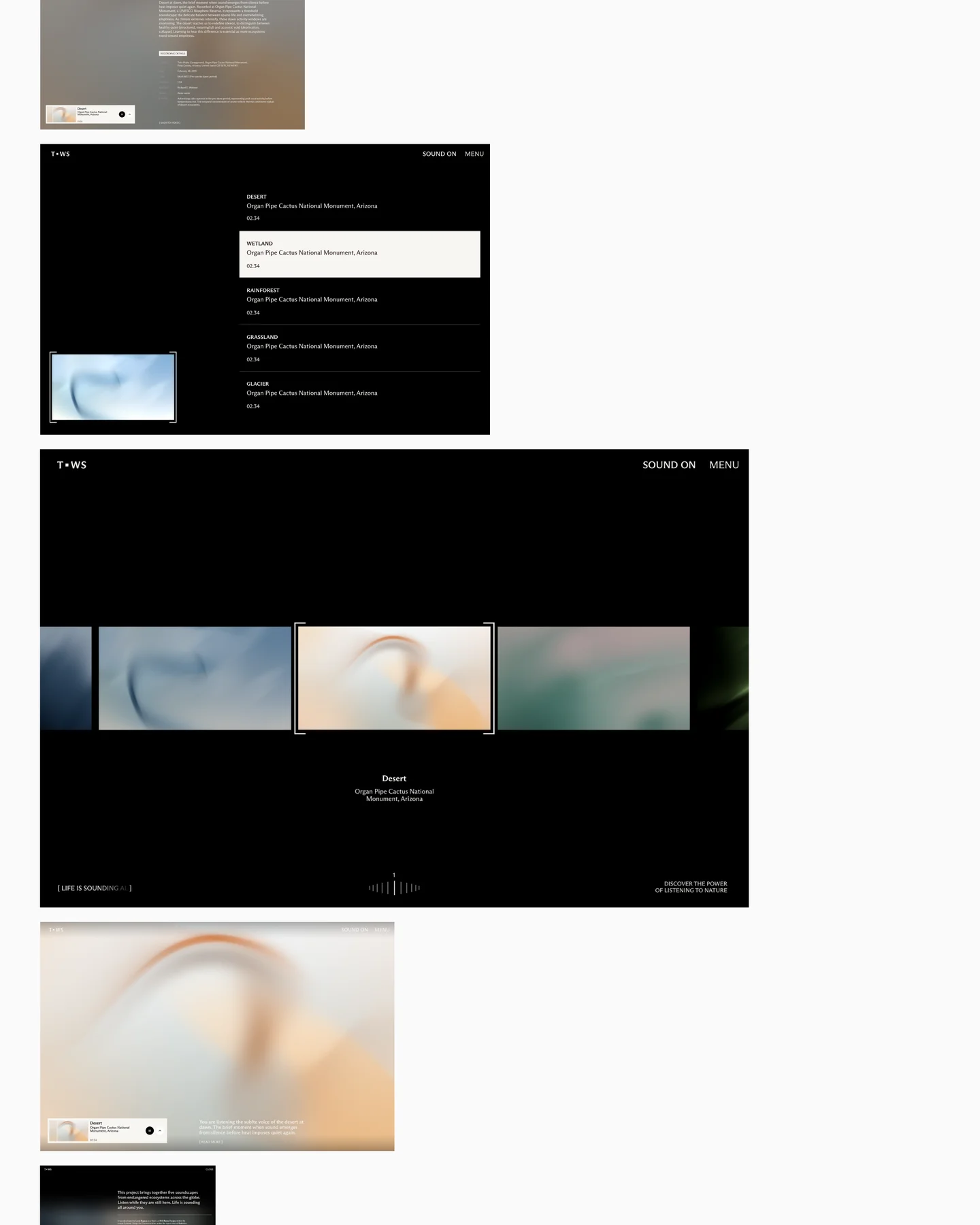 Desktop website screens showing the manifesto, ecosystem index and audio player.