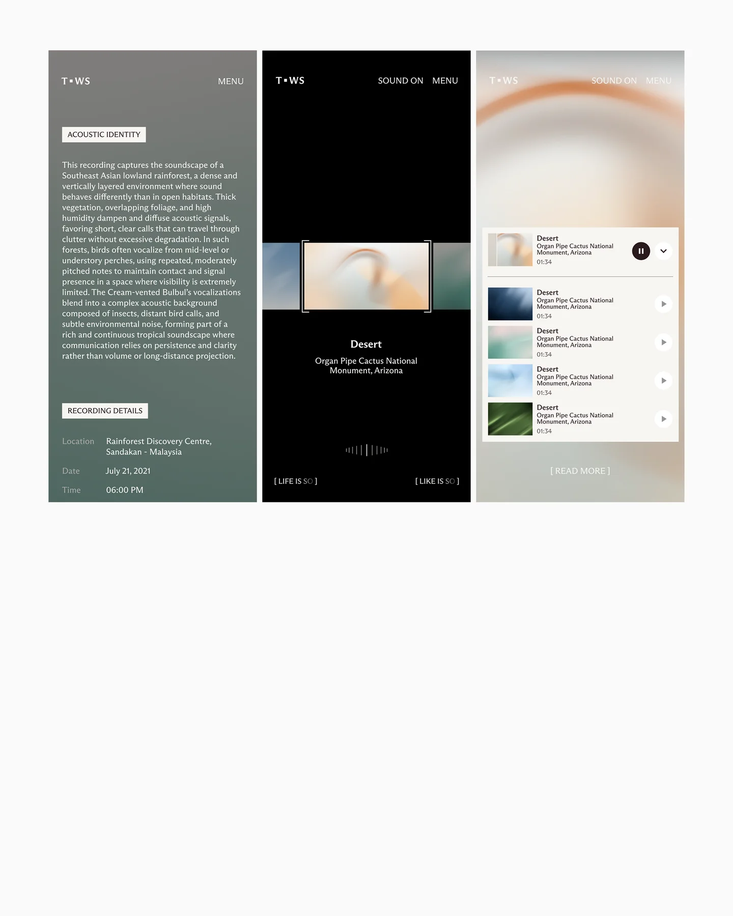 Mobile layouts showing The Wild Silence manifesto, index and soundscape player.