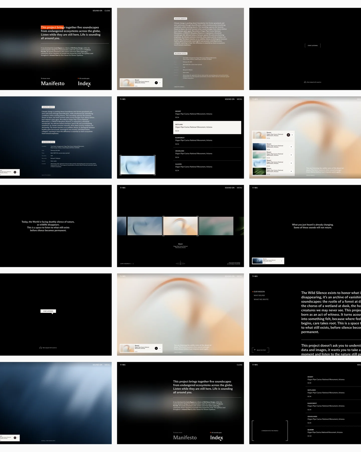 An overview of The Wild Silence website screens, typography and abstract landscapes.