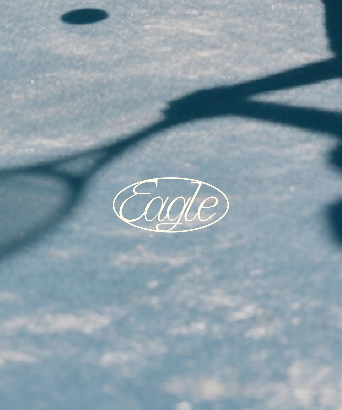 Eagle script wordmark over a blue tennis court and its shadows.