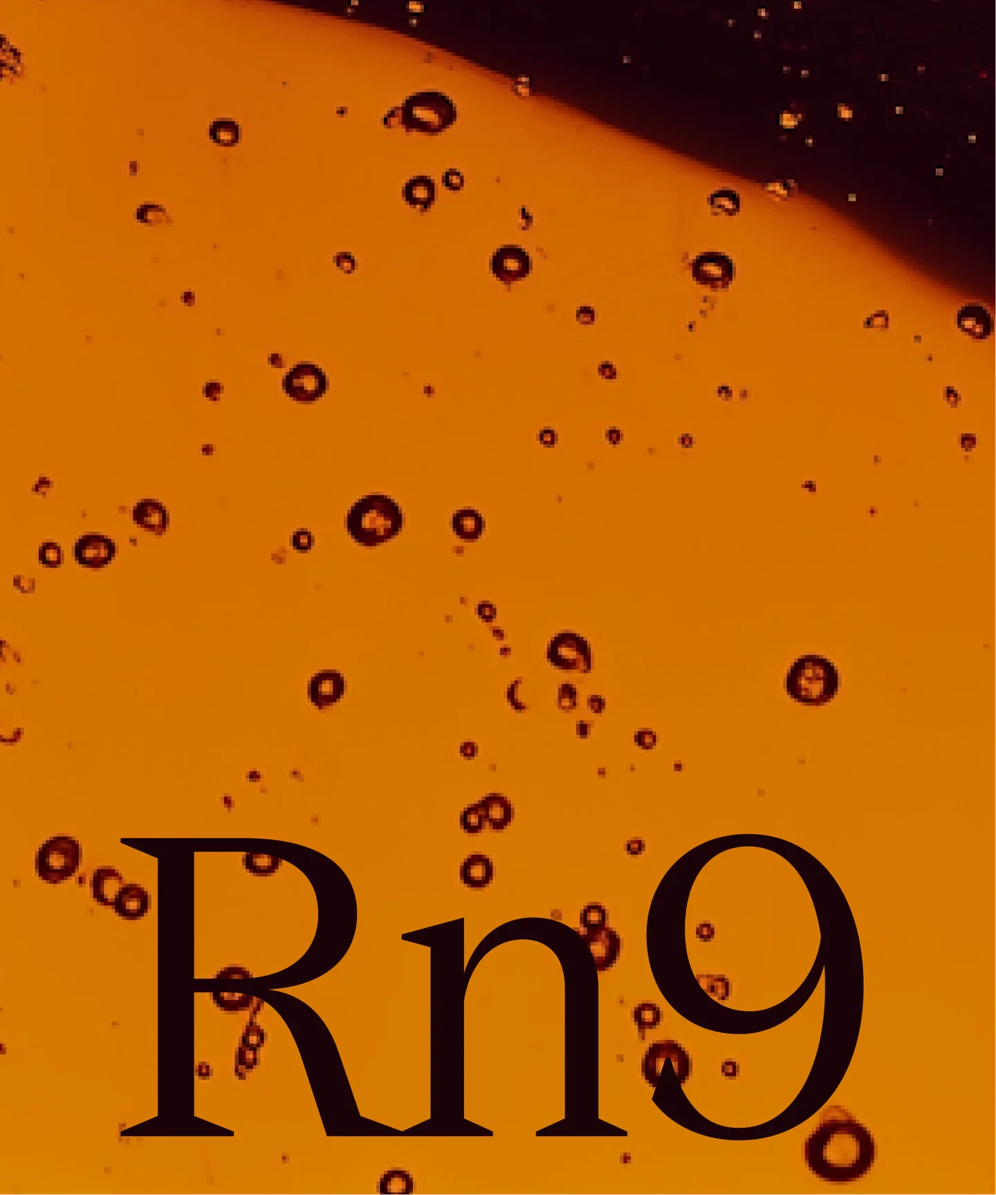 Rn9 monogram over an amber liquid filled with bubbles.