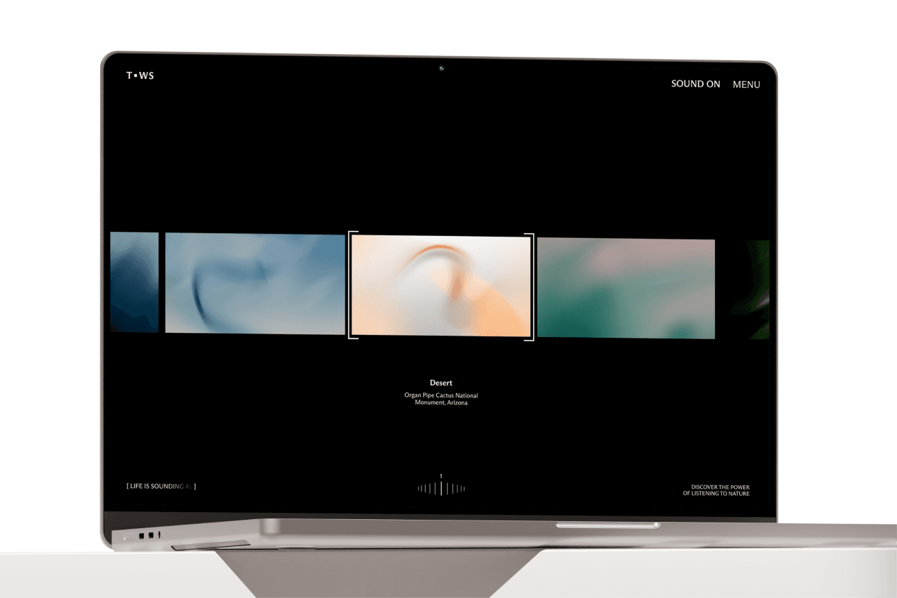 Conventional Web Interaction preview 1