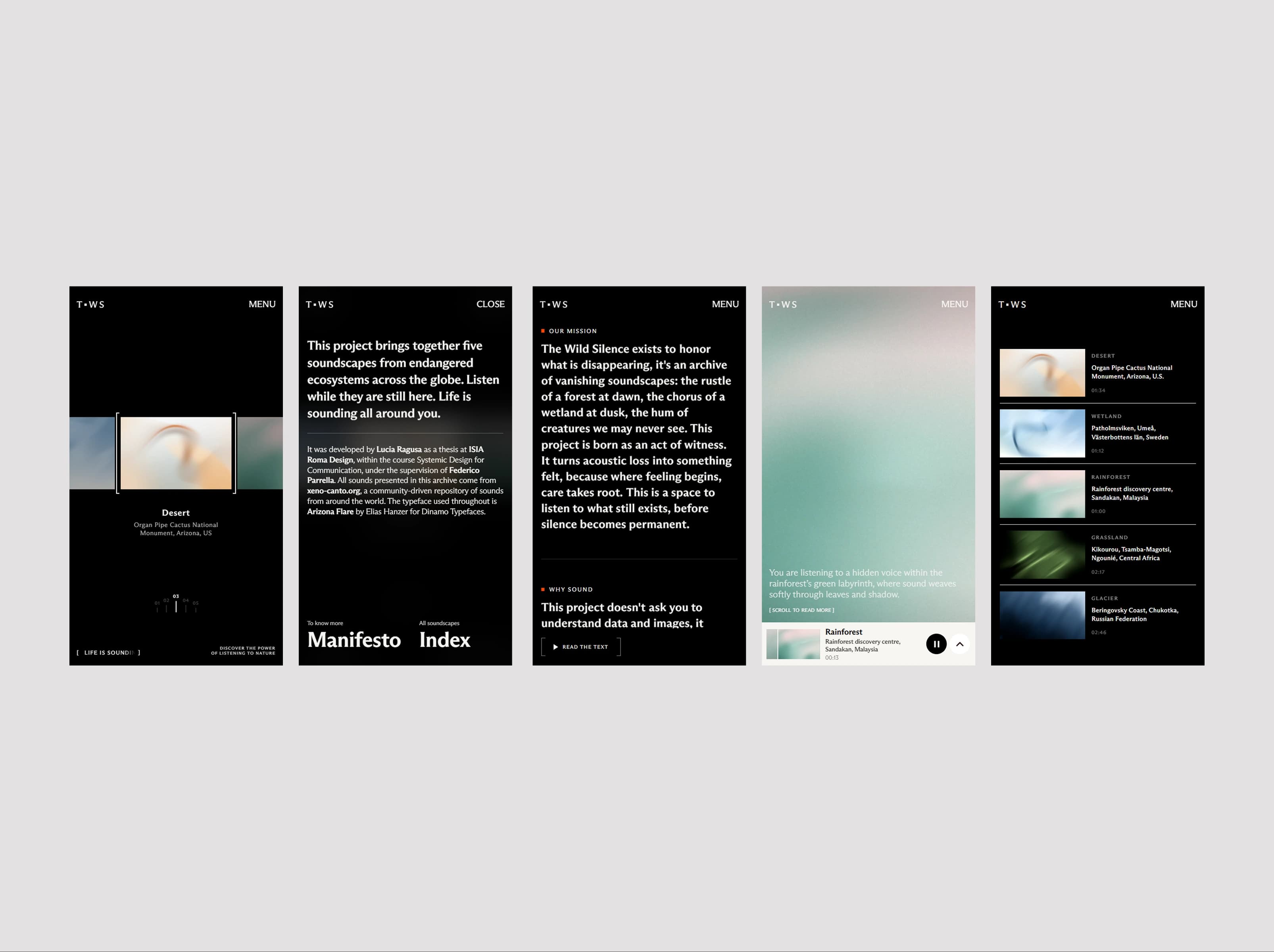 The Wild Silence Project - Visual landscape 3